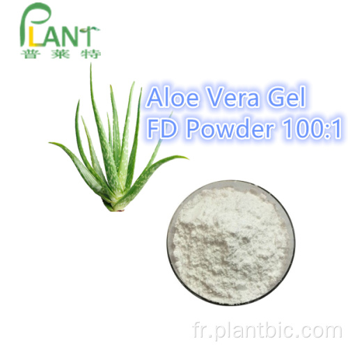 Poudre d&#39;extrait de gel d&#39;Aloe Vera naturel